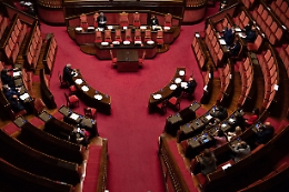 Peste suina: ok Senato a dl con 176 sì