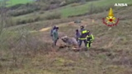 Mucca bloccata nel fango salvata dai pompieri