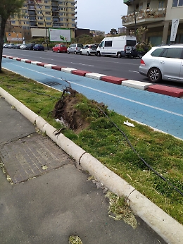 Lo squallore delle aiuole completa il deprimente scenario del Lungomare di Catania.