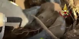 Cane incastrato in un canale: salvato dai vigili del fuoco