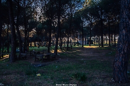 Caltagirone, Bosco Santo Pietro: benvenuti nell'oasi del degrado