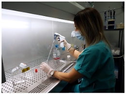 ++ Omicron: in Veneto sotto-variante diversa da XE e XJ ++