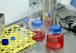 Epatite acuta, 17 bimbi già sottoposti al trapianto di fegato. L'Oms sulle tracce della causa