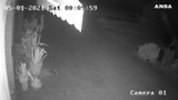 Gli ultimi minuti di vita di Saman in un video