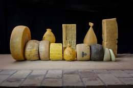 “Aspettando…Cheese Art”, il CoRFiLaC apre le porte a consumatori, produttori ed opinion leaders