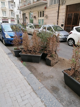 Catania: stalli della Sostare occupati da vasi