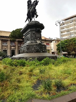 Catania: re Umberto I di Savoia circondato da erbacce