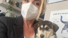 Cucciolo abbandonato al Centro commerciale: l'assessore comunale presente denuncia