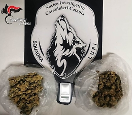 Catania, spacciava dai "domiciliari": arrestato trentenne