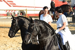 La Fiera Mediterranea del Cavallo raddoppia le "sedi" e le date