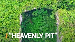 Cina, nella grotta un jurassik park con piante e specie animali sconosciute