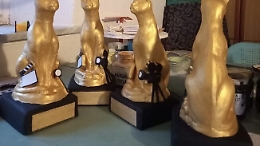 Si consegnano i premi Gattopardo d'oro