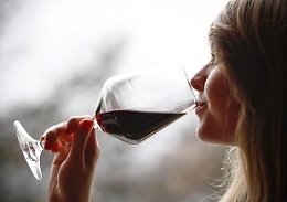 Cantine aperte, ecco quelle in Sicilia