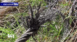 Mottarone: Digifema, fune vecchia ed errori umani