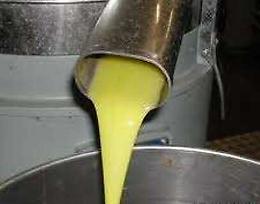 Maxi furto di olio d'Oliva in uno stabilimento