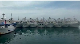 Caro gasolio: pescatori tolgono blocco solo per Tremiti