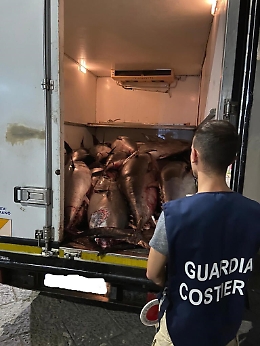 Tredici tonni rossi sequestrati perchè non tracciabili