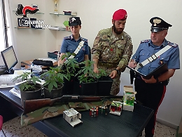 Belvedere, in casa droga, fucile, munizioni e due poiane (specie protetta): arrestato