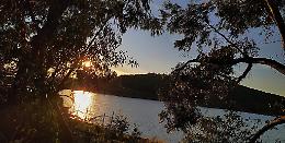 L'acqua della diga Delia in mare, l'allarme dei viticoltori: «Siamo a rischio rovina»