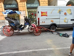 Cavallo colpito da un uomo si imbizzarrisce e fa correre in città un altro cavallo: danni ad un'auto e un ferito