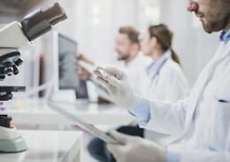 Vaiolo delle scimmie, in Italia 29 casi e allo Spallanzani eccezionale scoperta