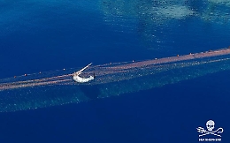 Reti illegali nel mare delle Eolie: è "strage" di pesci