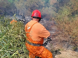 Catania: Blocco Torrazze, date alle fiamme una cinquantina di pneumatici