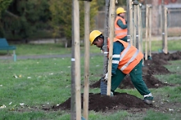 Catania, il progetto della ex Provincia per piantare 118 mila alberi