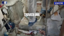Gatti vivi e morti trovati in "casa dell'orrore" a Catania