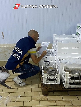 Una tonnellata e mezzo di pesce non tracciabile, i controlli della Guardia costiera tra Catania, Ragusa e Siracusa