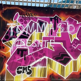 Imbrattato il murales di 400 metri del Barbera, la rabbia del Palermo