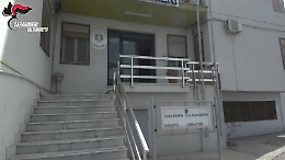 Piantagione con 20mila arbusti di marijuana sequestrata nelle campagne di Riesi: 11 arresti