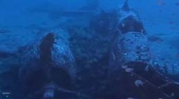 Linosa, il relitto a 85 metri di profondità è un Martin Baltimore precipitato nel 1942