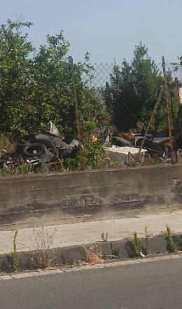 Giarre: materiale inquinante dentro un agrumeto