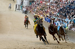 Palio Siena: assegnati cavalli,sorte bacia Pantera e Istrice