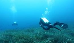 Le meraviglie dei fondali del Plemmirio tra "mazzere" e ancore romane