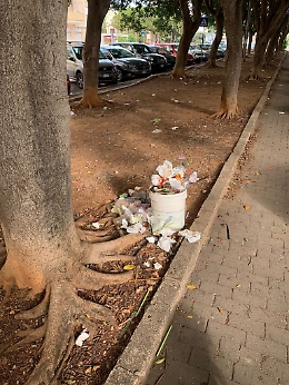 Palermo, aiuola di Viale Croce Rossa pattumiera per tutti