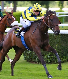 Alice e Rosario Mangione, da Niscemi per scalare il mondo