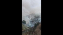 Incendio a San Michele di Ganzaria, in cenere 40 ettari tra mandorleti e uliveti