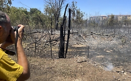 Incendi Roma: verifiche Procura su gestione del verde pubblico