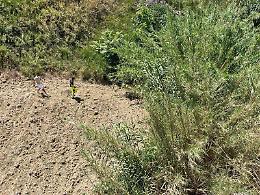 Palma di Montechiaro, donna si lancia dal ponte, ma fortunatamente rimane viva