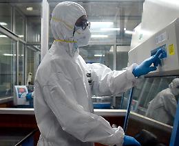 Covid, in Italia il primo caso della nuova variante "Centaurus"