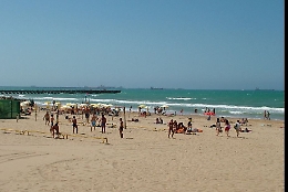 Gela, branco di randagi aggredisce famiglia di turisti tedeschi: ferito un bambino di 8 anni