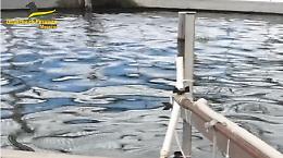 Caronia, la pesca "intelligente" con la truffa all'Ue: sequestrati 700 mila  euro a imprenditore ittico