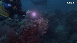 Il Tirreno sfiora i 30 gradi: "cresce il pericolo per gli uragani"