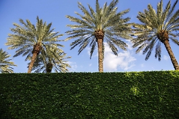 Usa, Wp: Fbi in casa Trump cercava documenti su armi nucleari