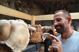 A Trecastagni i funghi Shiitake del contadino dentista