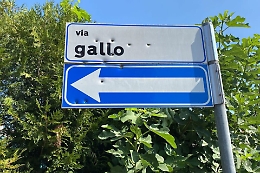 Il vigilante "pistolero" ammette le sue responsabilità per il ferimento del bimbo di 2 anni