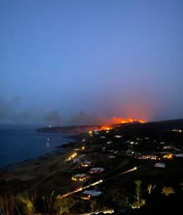 Il Wwf: "In Sicilia il 77% degli incendi sono dolosi e inarrestabili"