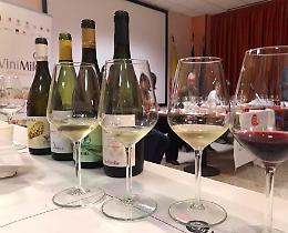 Musica, spettacoli, arte, food: quanti eventi nelle cantine siciliane